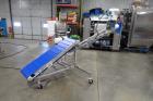 Reclaim Conveyor